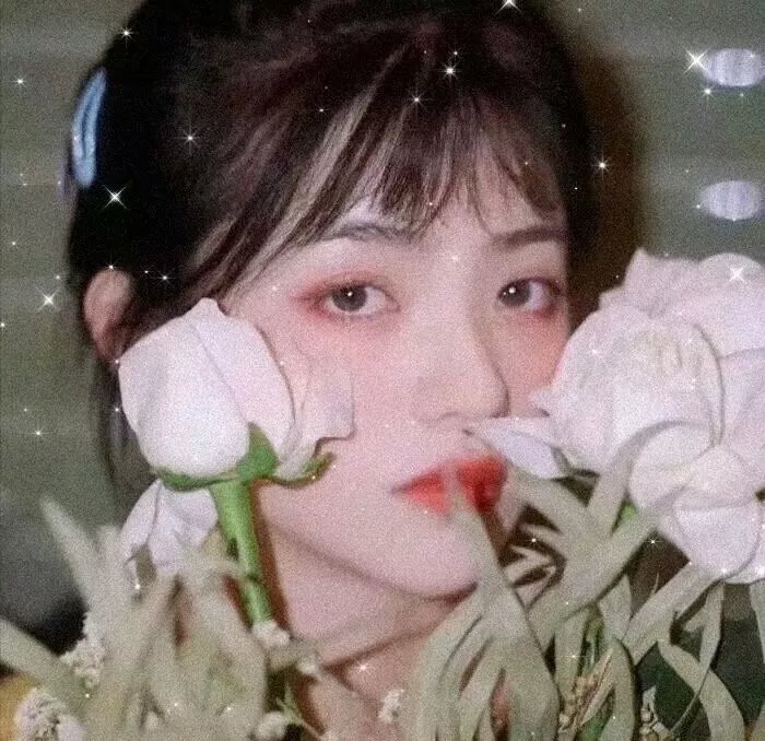 凤皇传