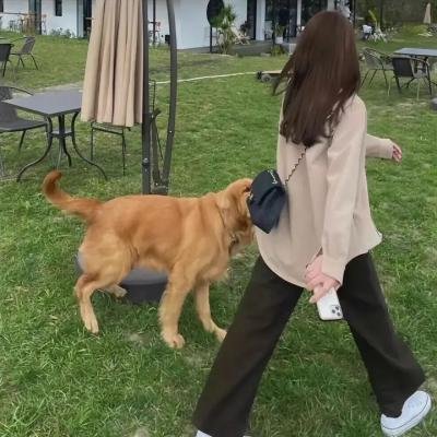隔离巢